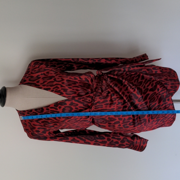 Zara Dress - Picture 10 of 11